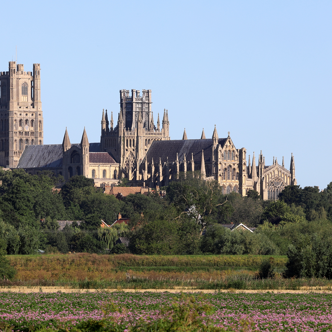 The famous Ely Cathedrel with its iconic, predominantly wooden, octagonal tower.