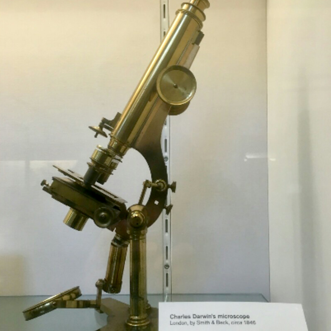 Charles Darwin's microscope from 1846 as seen in a Cambridge University museum.